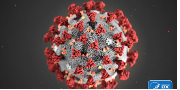 coronavirus 360x180